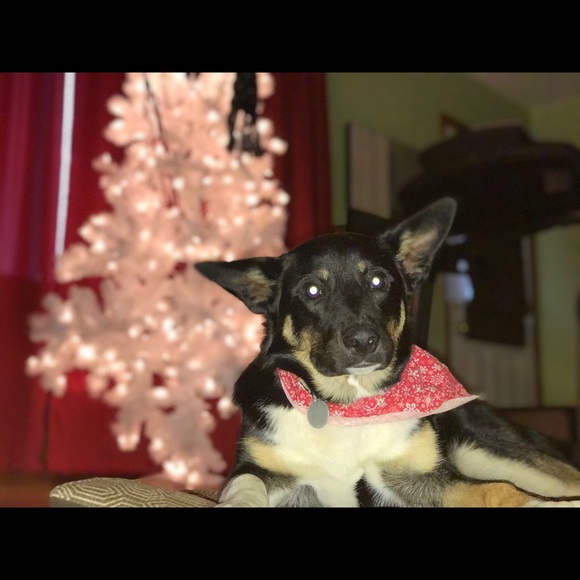 Meet your Posher, Sharon - Picture 1 of 1